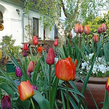 Ferienwohnung Bozsoki Piheno Exterior foto
