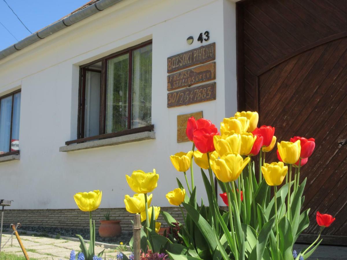 Ferienwohnung Bozsoki Piheno Exterior foto